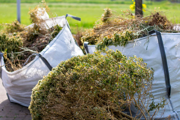 Best Junk Hauling Services  in Warren Af, WY